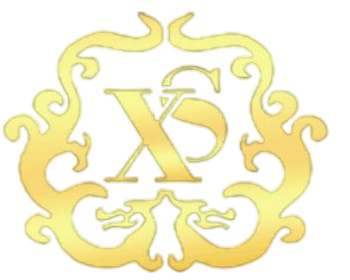 新盛logo